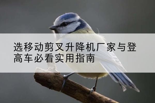 蒙阴电动升降机厂家-选移动剪叉升降机厂家与登高车必看实用指南