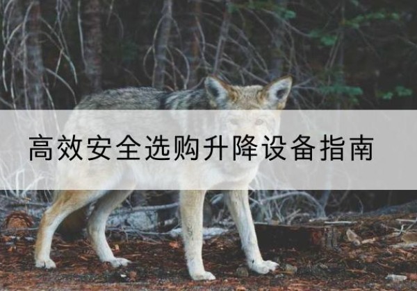 蒙阴升降货梯厂家推荐-*安全选购升降设备指南