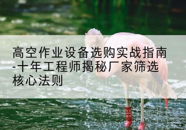 蒙阴剪叉式升降机厂家-高空作业设备选购实战指南-十年工程师揭秘厂家筛选核心法则
